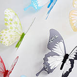 Різнокольорові метелики на стіні. Набір різнокольорових метеликів. Декоративні метелики. 3D метелик наклейки. Метелики для декору, фото 7