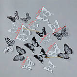 Різнокольорові метелики на стіні. Набір різнокольорових метеликів. Декоративні метелики. 3D метелик наклейки. Метелики для декору, фото 9