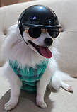 Мотоциклетний шолом RESTEQ для тварин, розмір M. Мотошолом для собаки. Мотошолом для кота, фото 8