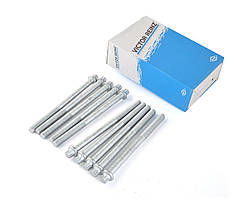 Болт ГБЦ Daewoo Lanos, Nexia 1.5, Chevrolet Aveo 1.5 (10 на двигун) (к-т 10 шт.)