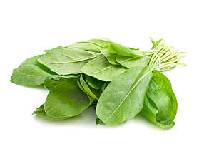 Щавель свіжий 1 кг