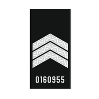 Шеврон погон сержант полиции с номером жетона на липучке Погон старшего сержанта полиции (AN12-300-36)