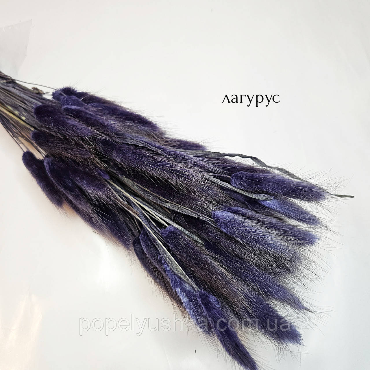 Лагурус темно-фіолетовий 60 см, фото 1