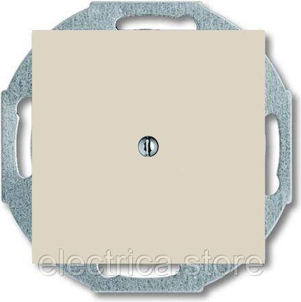 2538-92-507 Заглушка Basic55 слонова кістка 2CKA001715A0313, фото 1