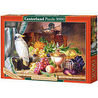 Пазлы Castorland Натюрморт с фруктами и какаду 3000 элементов 92 х 68 см C-300143 DD, код: 8264731