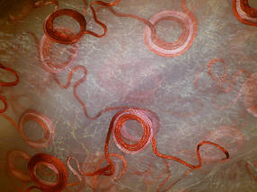 Тюль-органза "Кільця" червоний, фото 3
