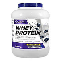 Протеин OstroVit Whey Protein 2000 g 66 servings Blueberry Joghurt BM, код: 8327732