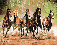 Картина по номерам BrushMe Табун лошадей 40х50см BS8288 NX, код: 8263550