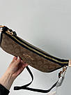 Жіноча сумка Коуч коричнева Coach Brown Teri Shoulder Bag In Signature, фото 8