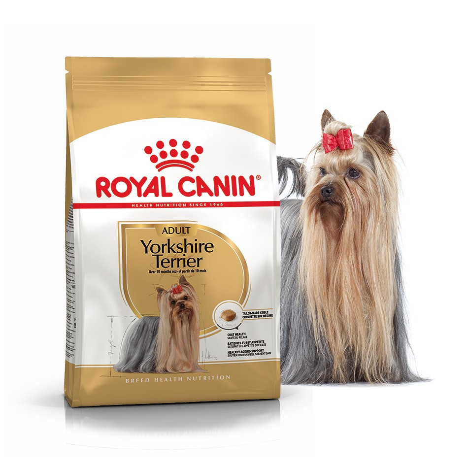 Сухий корм Royal Canin Yorkshire Terrier Adult для дорослих собак старше 10 місяців 1.5 кг (НФ-00000286)