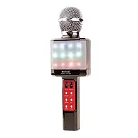 Беспроводной микрофон DM Karaoke WS 1828 PL