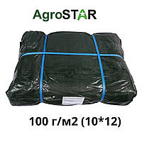 Тент універсальний"AgroStar" 100(10*12)зел