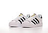 Жіночі та чоловічі кросівки Adidas Superstar білі шкіряні кеди Адідас Суперстар весна літо, фото 6