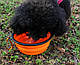 Портативна силіконова миска для собак і котів 450 мл - рожева, фото 7
