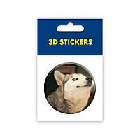 3D-стикер Мем собака улыбается SX-17 Tattooshka DH, код: 7933291