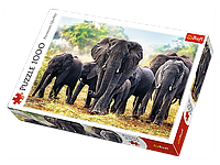 Пазлы Trefl Африканские слоны 1000 элементов 68х48 см 10442 UL, код: 8264295