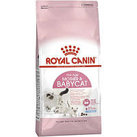 Сухой корм для котят Royal Canin Mother Babycat 400 г (2544004) NX, код: 7479798