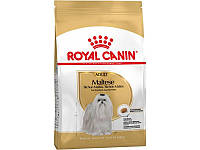 Сухой корм Royal Canin Maltese Adult для собак породы Мальтийская болонка 0.5 кг (31825507821 NX, код: 7581480
