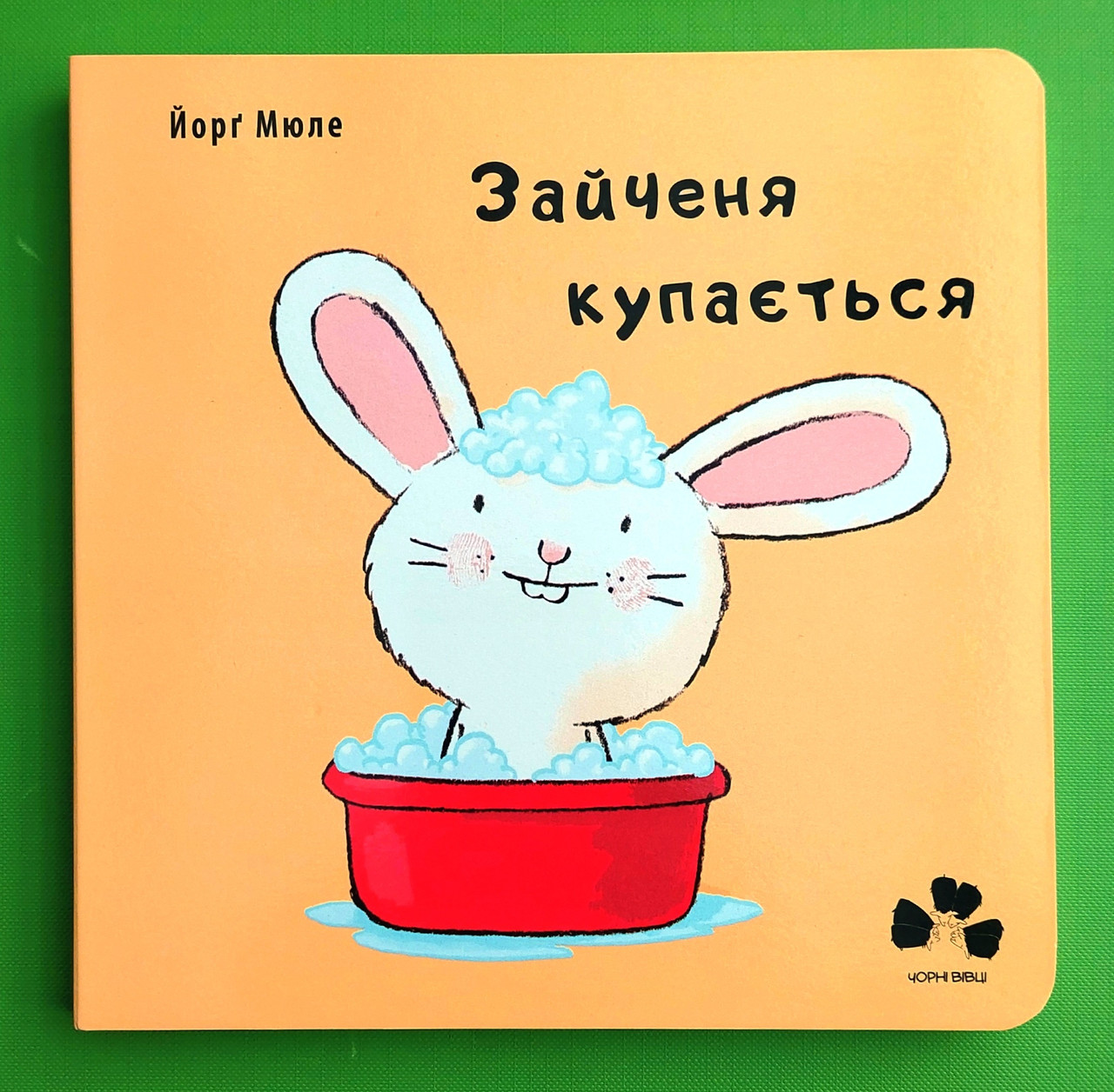 Сучасники Книги ХХІ Мюле Зайченя купається
