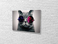 Картина в гостиную спальню детскую для интерьера Серый кот в очках KIL Art 81x54 см (436) z17-2024