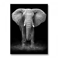 Картина Malevich Store Слон на удачу 45x60 см (P0493) z17-2024