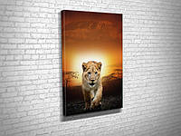 Картина в гостиную спальню для интерьера Маленький львёнок KIL Art 51x34 см (586) z17-2024