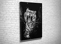 Картина в гостиную спальню для интерьера Оскал тигра KIL Art 81x54 см (564) z17-2024