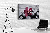 Картина в вітальню спальню для інтер'єру Квітка орхідеї на каменях KIL Art 122x81 см (671) z17-2024