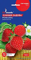 Земляніка Ренесанс сорт високоурожайний ремонтантний щільна соковита ароматна, паковання 0,1 г