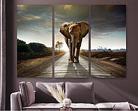 Модульная картина на холсте из трех частей Могущественный слон 78x48 см (M3_M_233) z17-2024