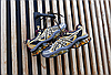 Кросівки ASICS Gel-Quantum Kinetic Carbon Pure Gold, фото 7
