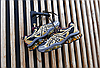 Кросівки ASICS Gel-Quantum Kinetic Carbon Pure Gold, фото 2