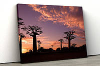 Картина на холсте KIL Art Баобабы на закате 122x81 см (365) z17-2024