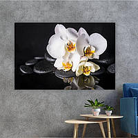 Картина на полотні KIL Art Красиві квіти орхідеї 51x34 см (373) z17-2024
