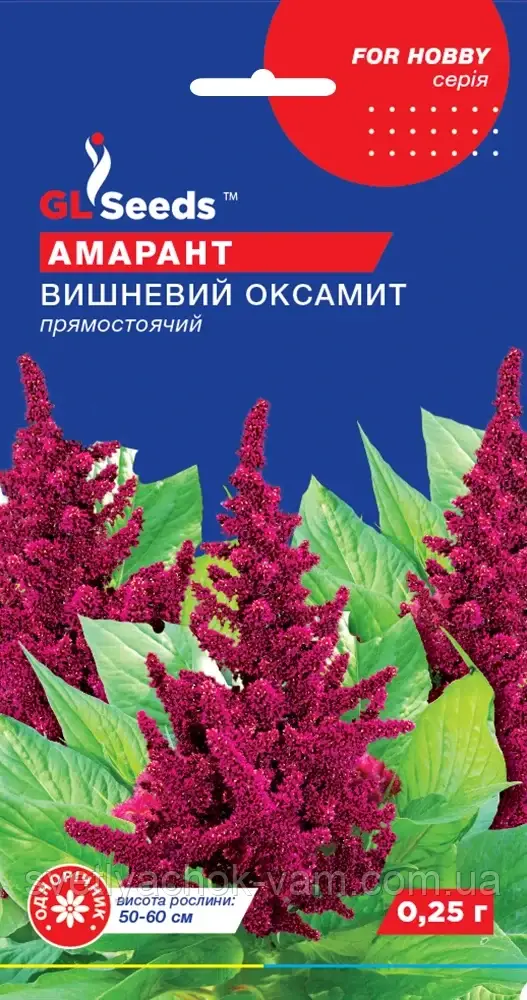 Амарант Вишневий Оксамит прямостійкий букетний для флористичних аранжувань, паковання 0,25 г