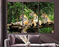 Модульная картина на холсте из трех частей KIL Art Семья тигров 128x81 см (M3_L_246) z17-2024