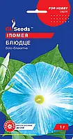 Іпомея Блюдце рясно квітуча ліана з ніжними великими квітками біло-блакитні, паковання 1 г