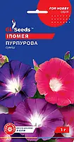 Іпомея Пурпурова популярна ліана до 3 м без якої неможливо уявити не один сад, паковання 1 г