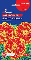 Бархатцы Бонито Кармен гвоздиковидные махровые теневыносливые обильно цветущий сорт, упаковка 0,5 г