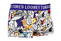 Трусы-боксеры Looney Tunes Blue Coyote L white (30890453-2) IN, код: 2467154