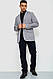 Піджак чоловічий, колір сірий, 244R104 L-XL, фото 2