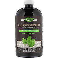 Комплекс для пищеварения Nature's Way Chlorofresh, Liquid Chlorophyll, 16 fl oz 473,2 ml Mint Flavored