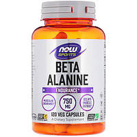 Бета аланин NOW Foods Beta-Alanine, Endurance 750 mg 120 Veg Caps z17-2024