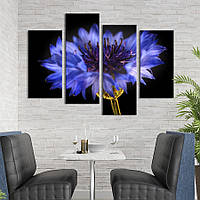 Картина на полотні KIL Art Квітка синього волошки 89x56 см (842-42) z111-2024