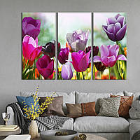 Модульная картина на холсте KIL Art триптих Красывые лиловые тюльпаны 78x48 см (224-31) z111-2024