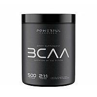 Аминокислота BCAA для спорта Powerful Progress BCAA 2:1:1 + Glutamine 500 g /50 servings/ Watermelon z17-2024