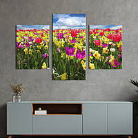 Картина из трех панелей KIL Art триптих Яркие тюльпаны на поле 96x60 см (1006-32) z110-2024