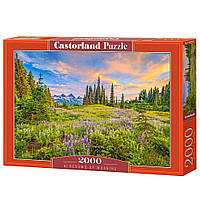 Пазлы Утренние цветы 2000 элементов Castorland (C-200863) NX, код: 8238682