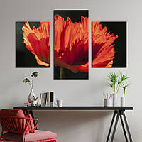 Картина из трех панелей KIL Art триптих Ажурный цветок мака 96x60 см (969-32) z110-2024