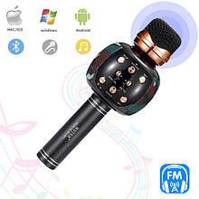 Караоке-мікрофон з колонкою і FM радіорадіо бездротовий вокальний портативний Bluetooth Wster Karaoke WS-2911